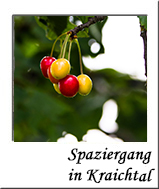 Spaziergang in Kraichtal