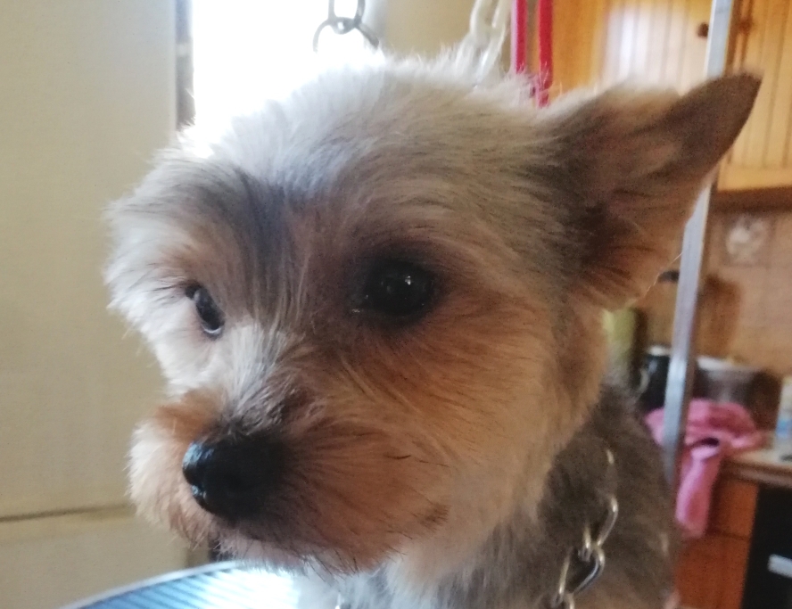 Noisette, mon pti cœur 💖💖💖