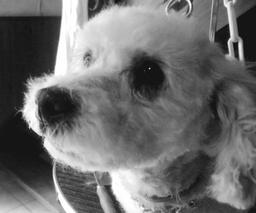 Youka 💕💕💕