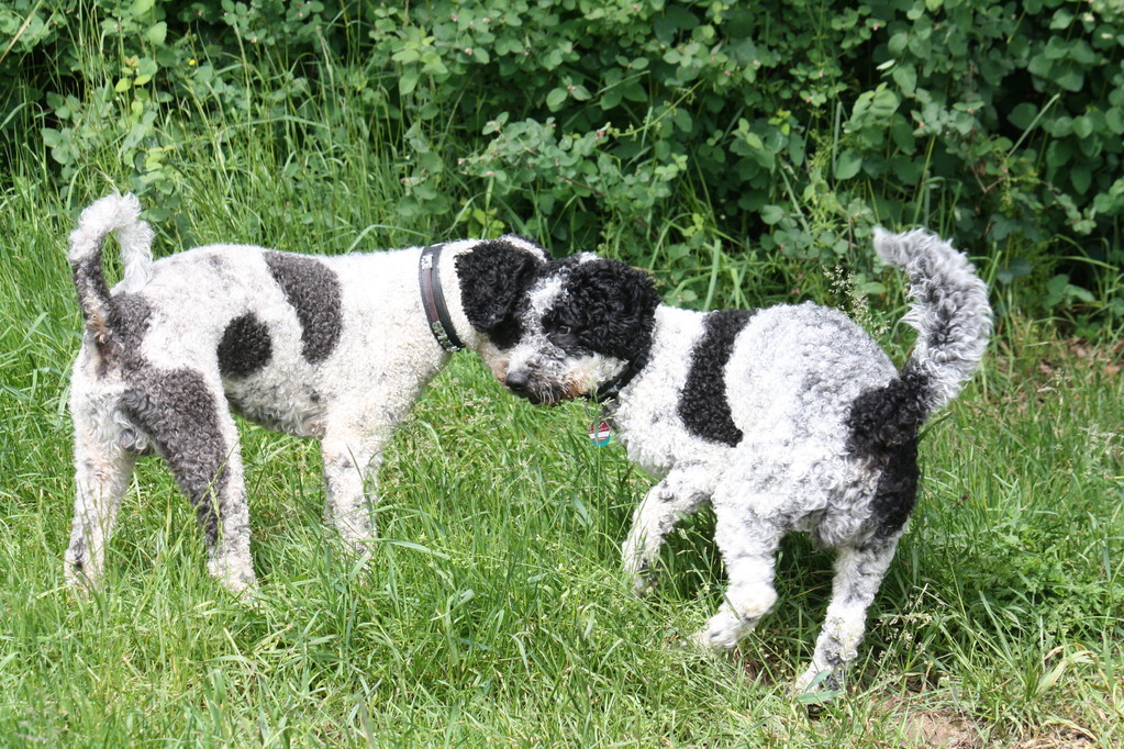 Papa und Sohn......wer ist wer??