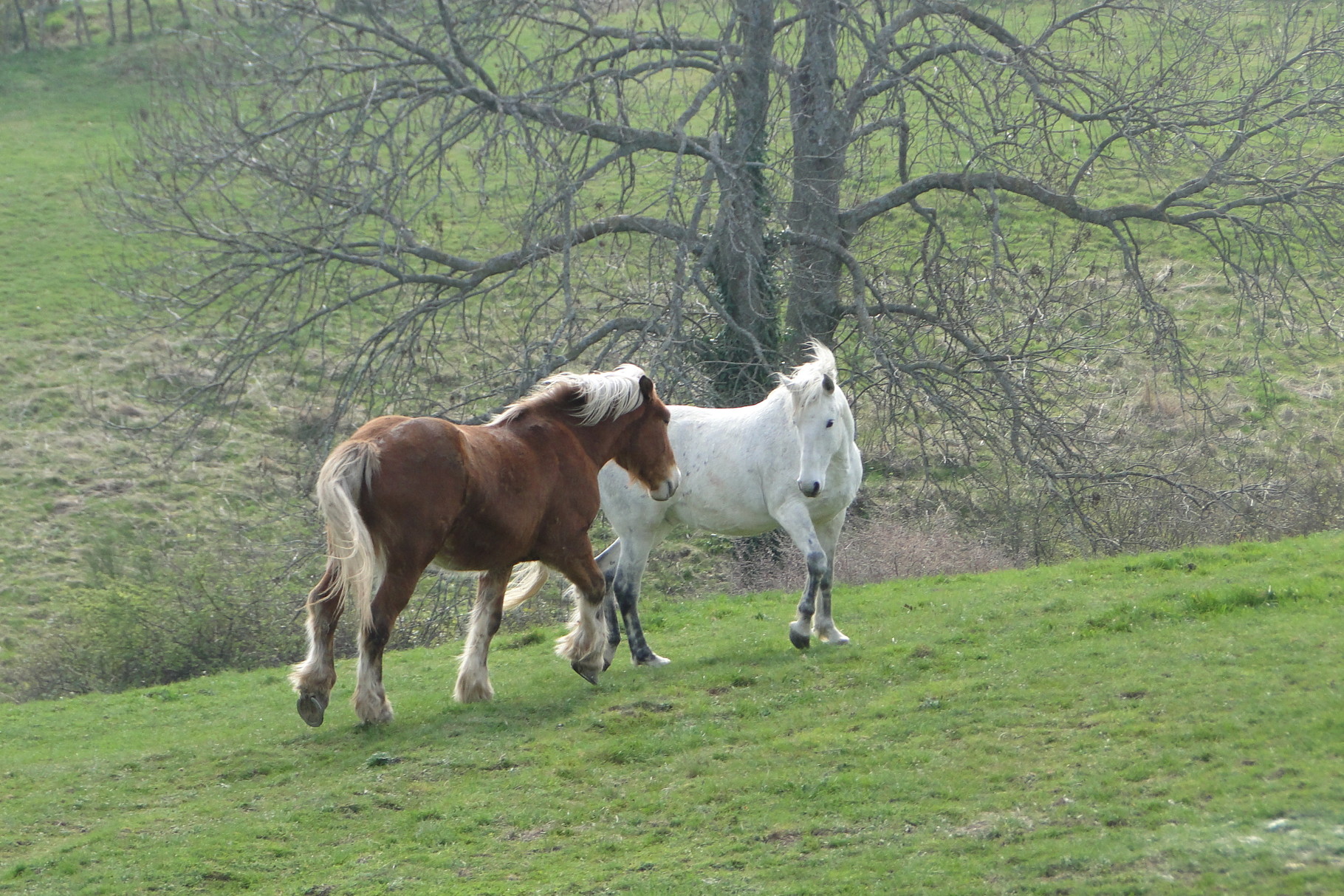 Baxter et Lord