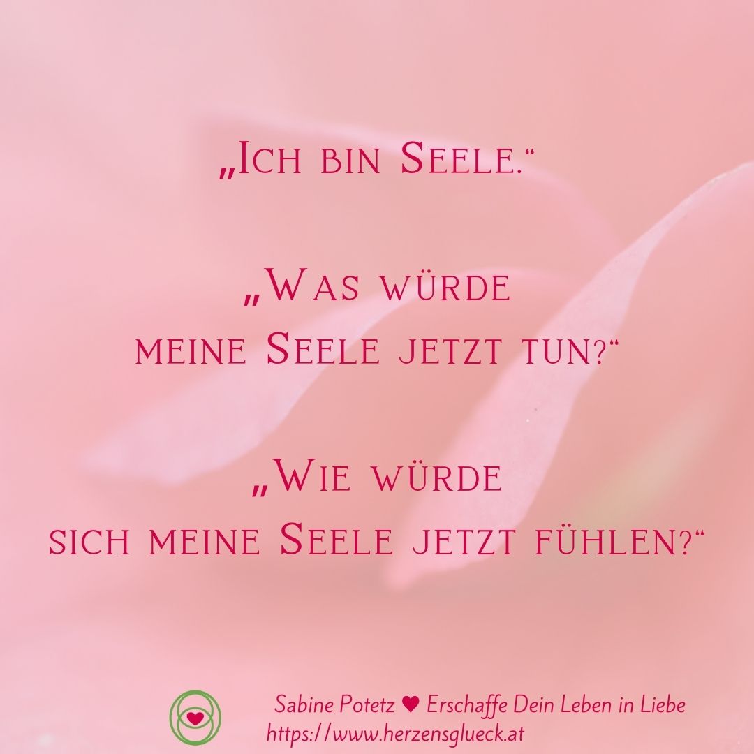 Seelen-bewusst leben ♥