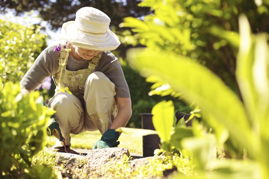 8 DIY Jobs That Can Add to Your Selling Price in Killara, Sydney