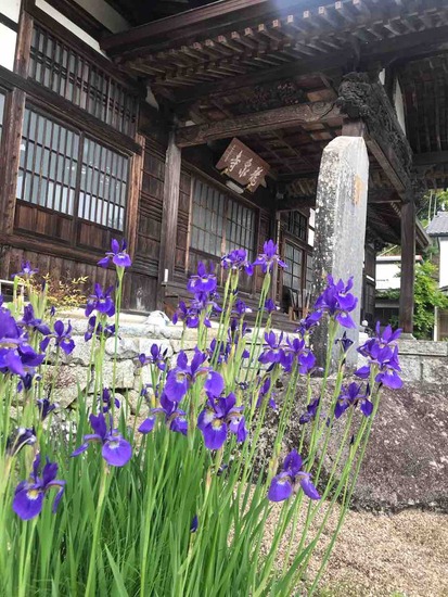 【お知らせ】5月16日　禅とYOGAと和菓子　二本松市　龍泉寺