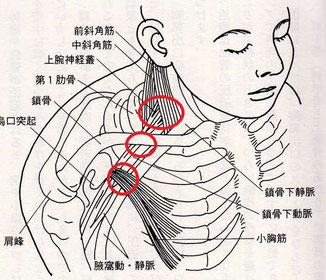 肩こりと腕の痛み痺れの原因