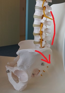 頸椎ヘルニアになる座り方