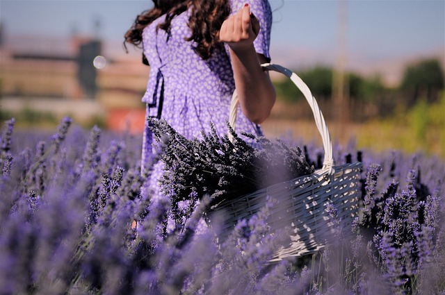 PCOS PMOS und Lavendel: Kann die Heilpflanze eine natürliche Alternative zu Metformin sein?