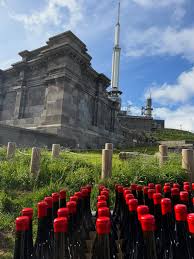 Vins volcaniques d'Auvergne : la surprenante cuvée du Temple de Mercure