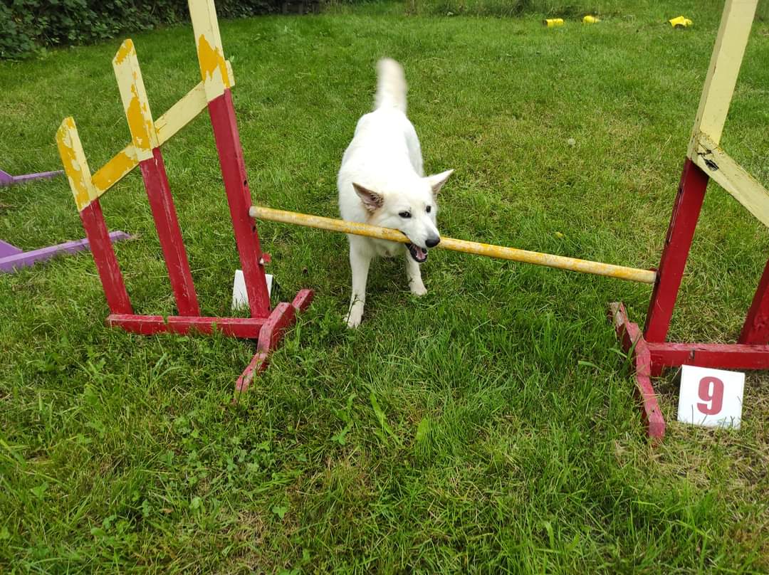 Agility