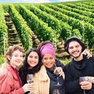 dégustation de vin Côte d'Auvergne