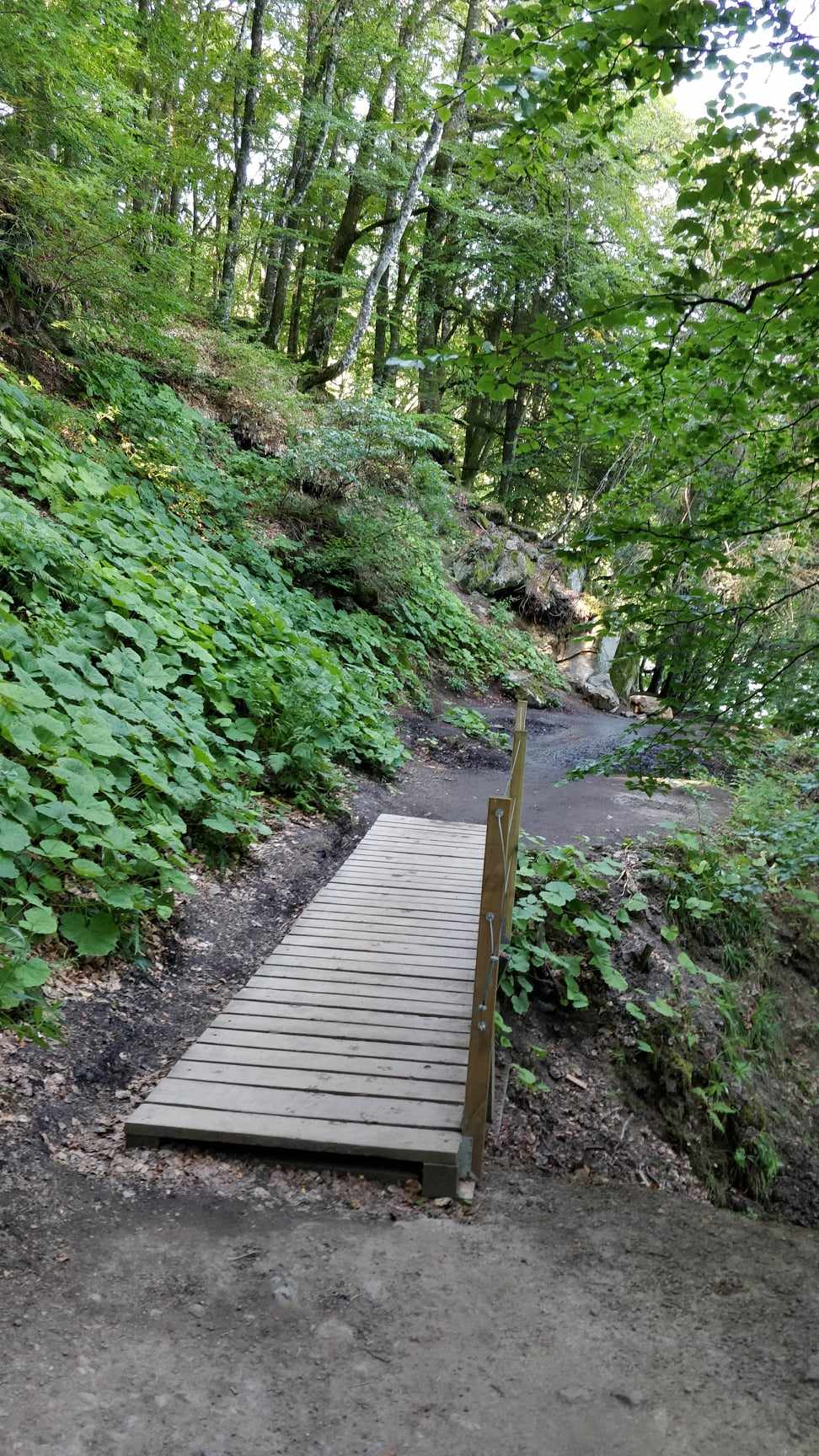 Une nature intarissable