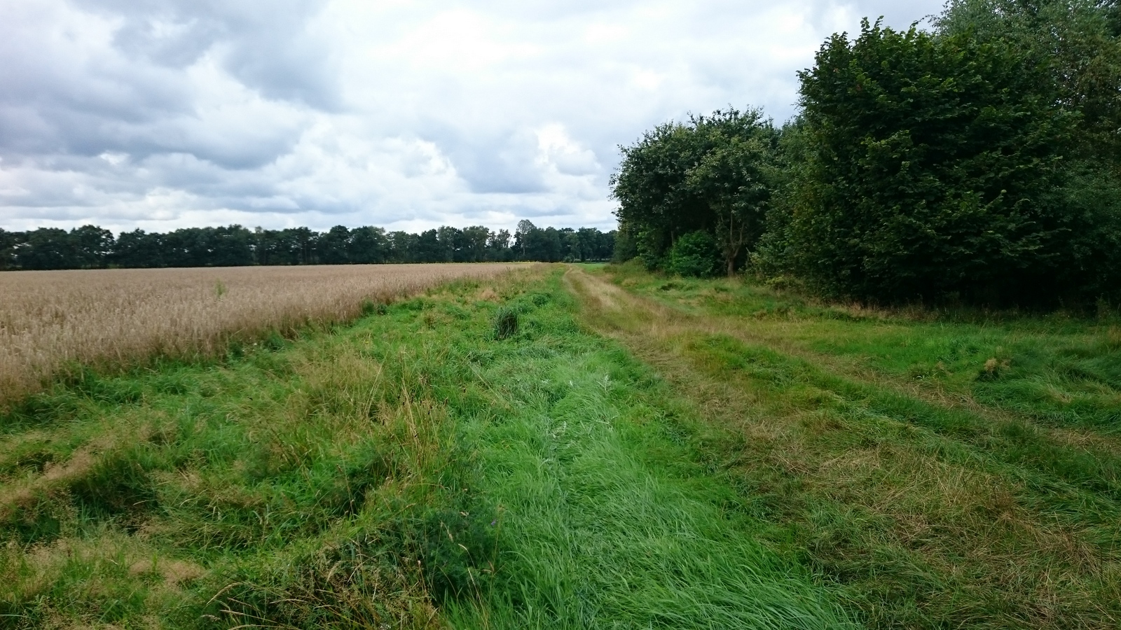 knstlicher honig Se Verfhrung  hoyer-honig.de