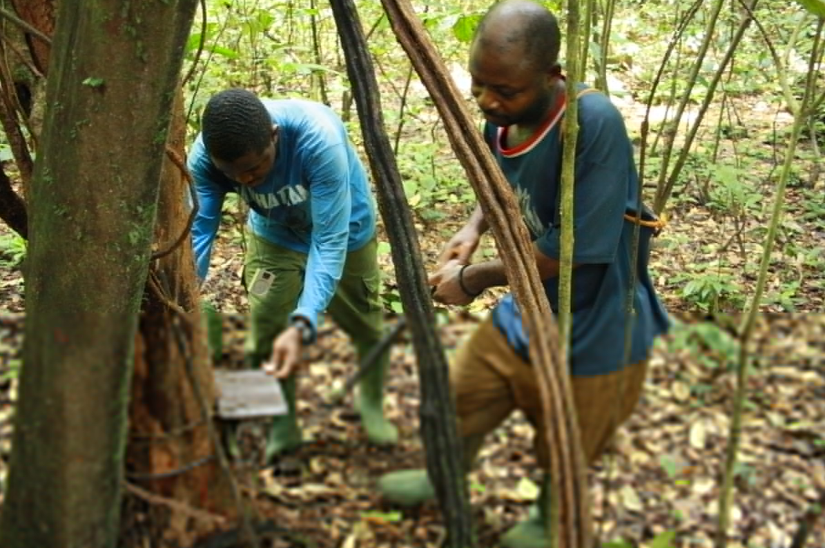 Setting up camera trap