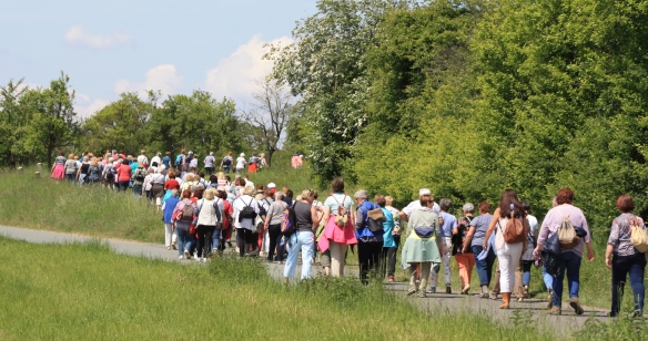 Landfrauen in Form 2019 - Krimiwanderung und Erdbeerkuchen 