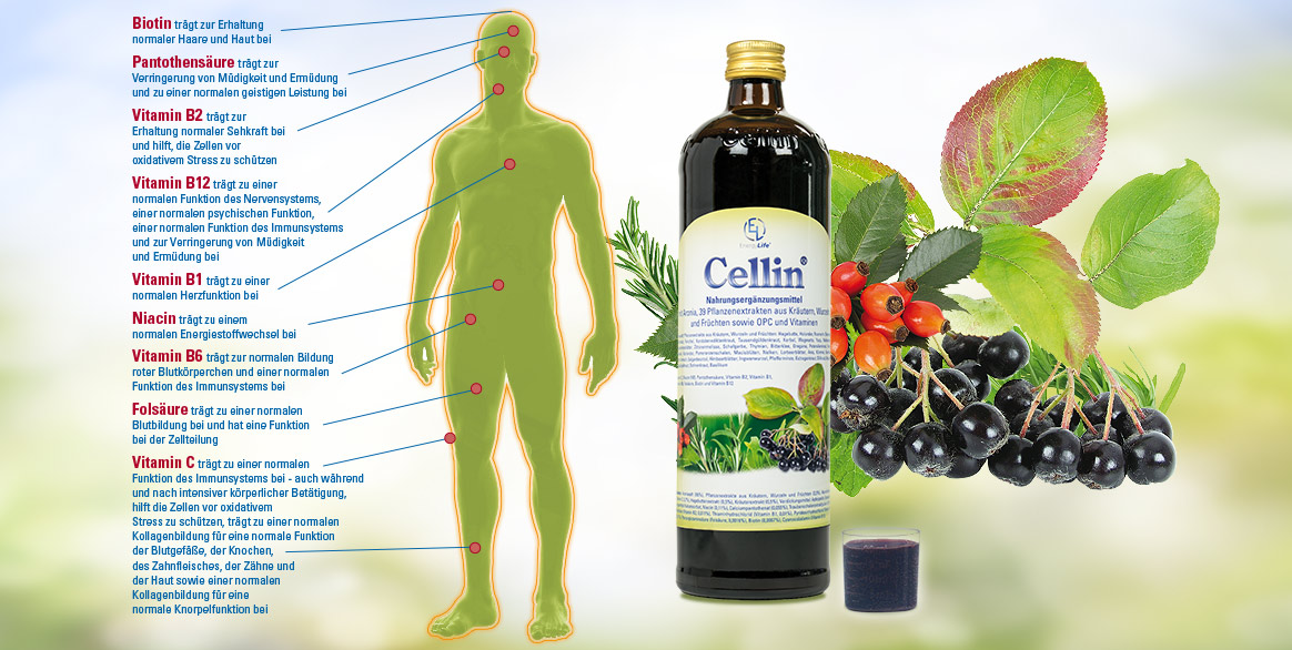Produkte von Energy Life - Naturheilpraxis und Yogaschule Voglreiter