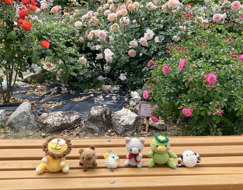 バラが満開の西山公園で、あみぐるみたちとぬい撮りしてきました