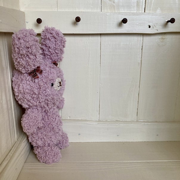 ぬいぐるみ「いちごちゃん」とぬい撮りで作る家族の温かいアルバム