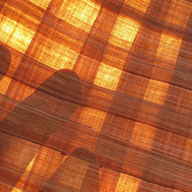 Transluzenz: Lichtdurchlässiges Holz ...