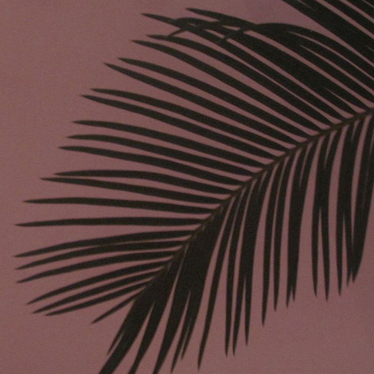 Glanz mit Funktion: Hochreflektierende Oberflächen ...