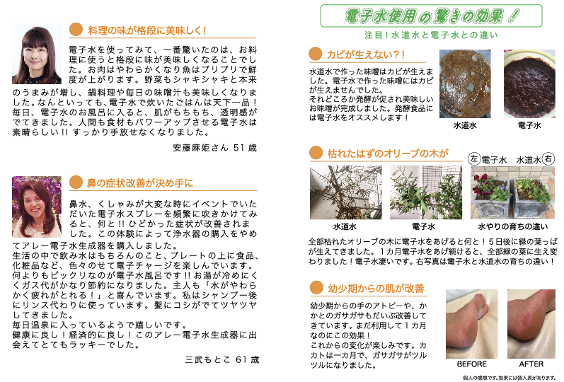 電子水生成器 トヨアレー AREE 電子水 (電子水体験談 電子水生成器 トヨアレー AREE 電子水 (電子水体験談