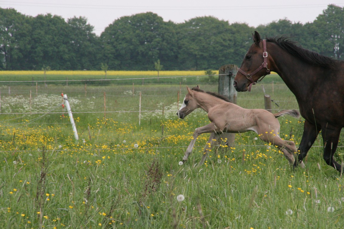 Mama weglaufen macht Spass