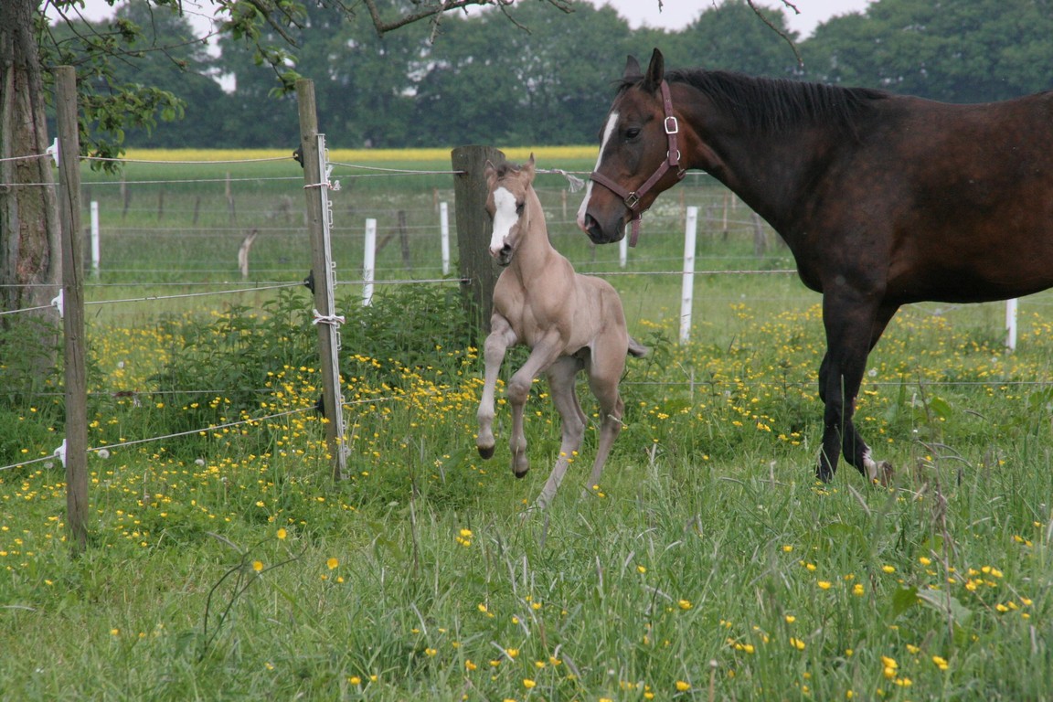 Auf zwei Beinen kann ich auch schon !