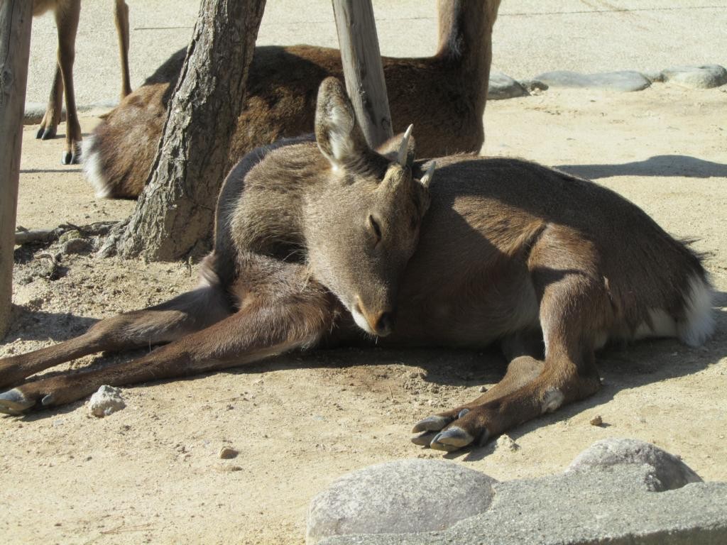 Das Leben ist schon anstrengend