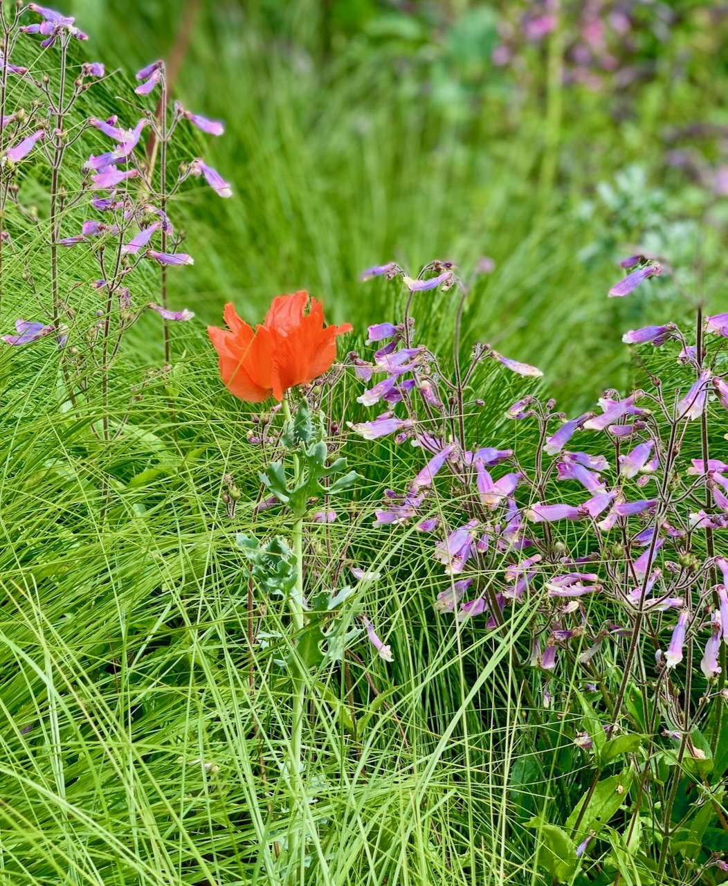 Naturalistisch gestalten und Akzente setzen - individuell & persönlich