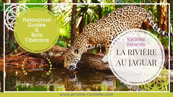 LA RIVIÈRE AU JAGUAR ❀ Relaxation Guidée en Nature ❀ Soi Paix Intérieure Guérison