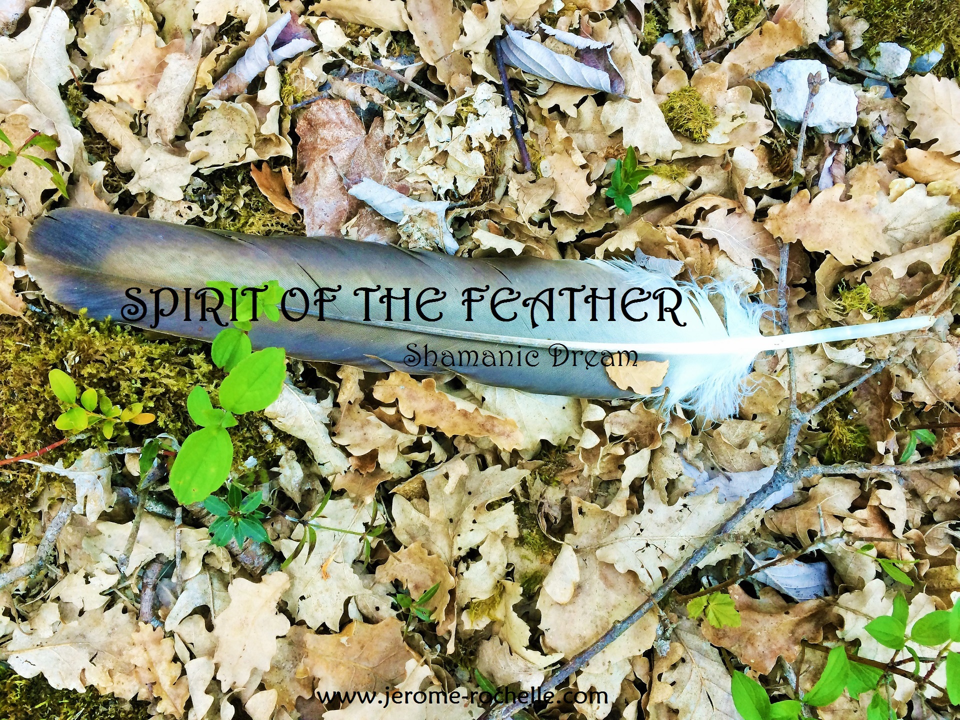 Méditation Chamanique "Esprit de la plume"