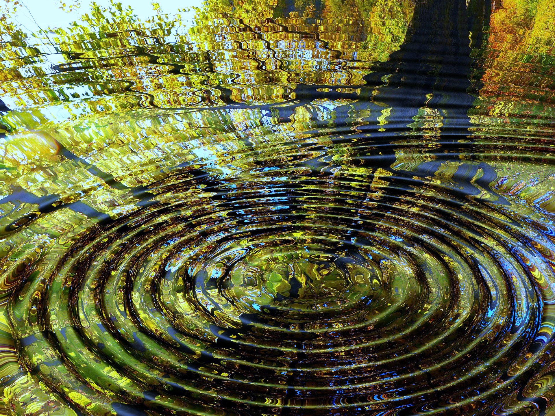 Tout est vibration. La loi de resonance de l'Univers