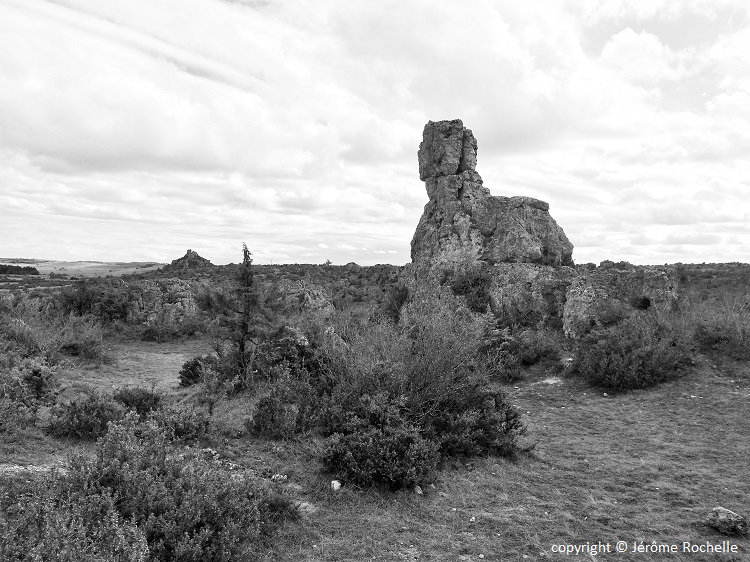 Atelier "Aux sources de la Terre" Dimanche 29 Avril 2018 Millau Aveyron