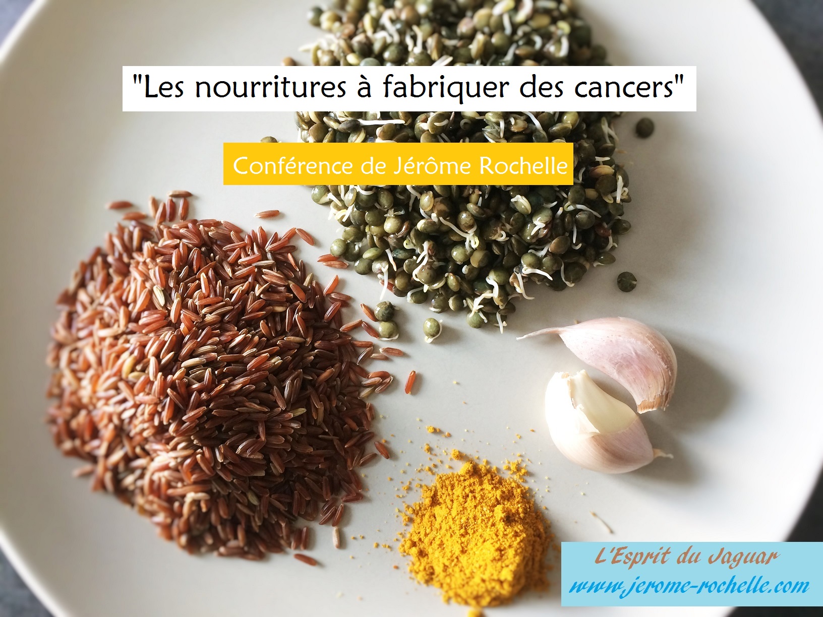 Conférence "Les nourritures à fabriquer des cancers" le 17 Mai 2019 à Montpellier