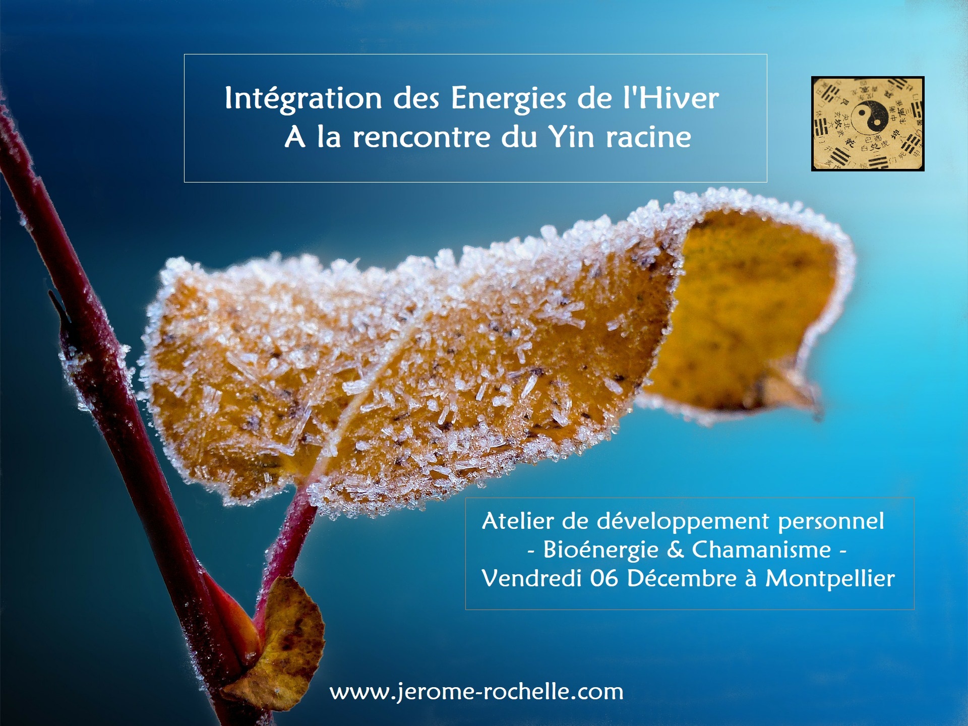 Atelier - Intégration des Energies de l'Hiver. A la rencontre du Yin racine - Montpellier 6 Décembre 2019