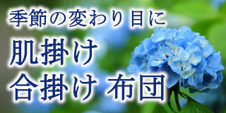 夏ギフト寝装プラザ福田のお中元