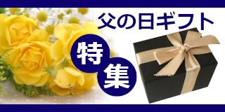 元祖着る毛布かいまき