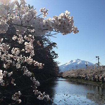 津軽書房にほど近い弘前公園のお堀端から望む、残雪の岩木山（青森県弘前市）。春には桜の見物客でにぎわう