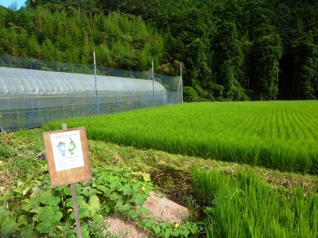 120823光田さん