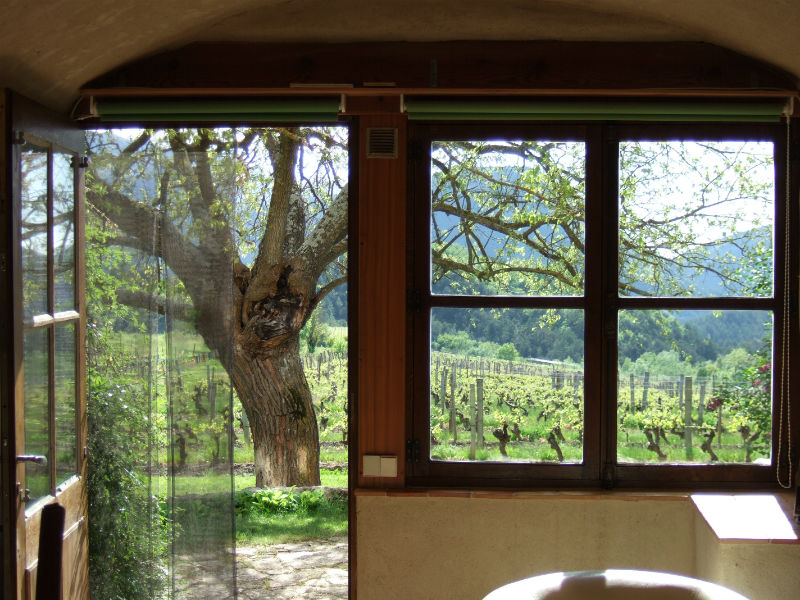 view from the inside the cottage