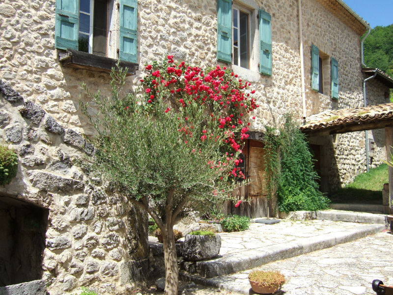 the courtyard