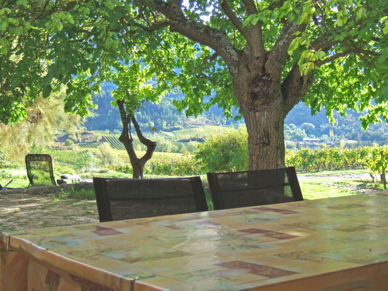 vue vers le jardin