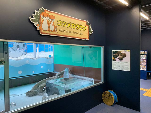 水族館内表示板