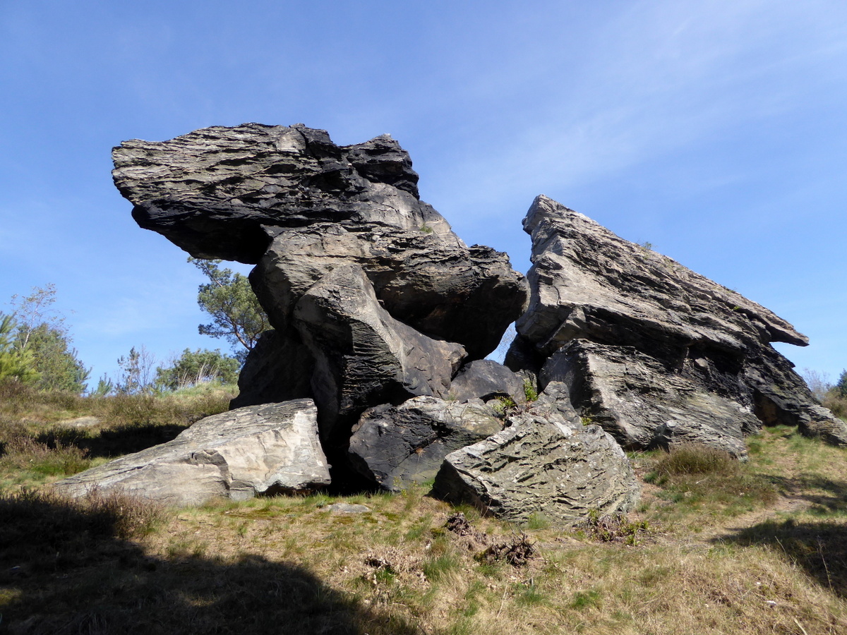 Das "Kleine Kamel" auf dem Langenberg