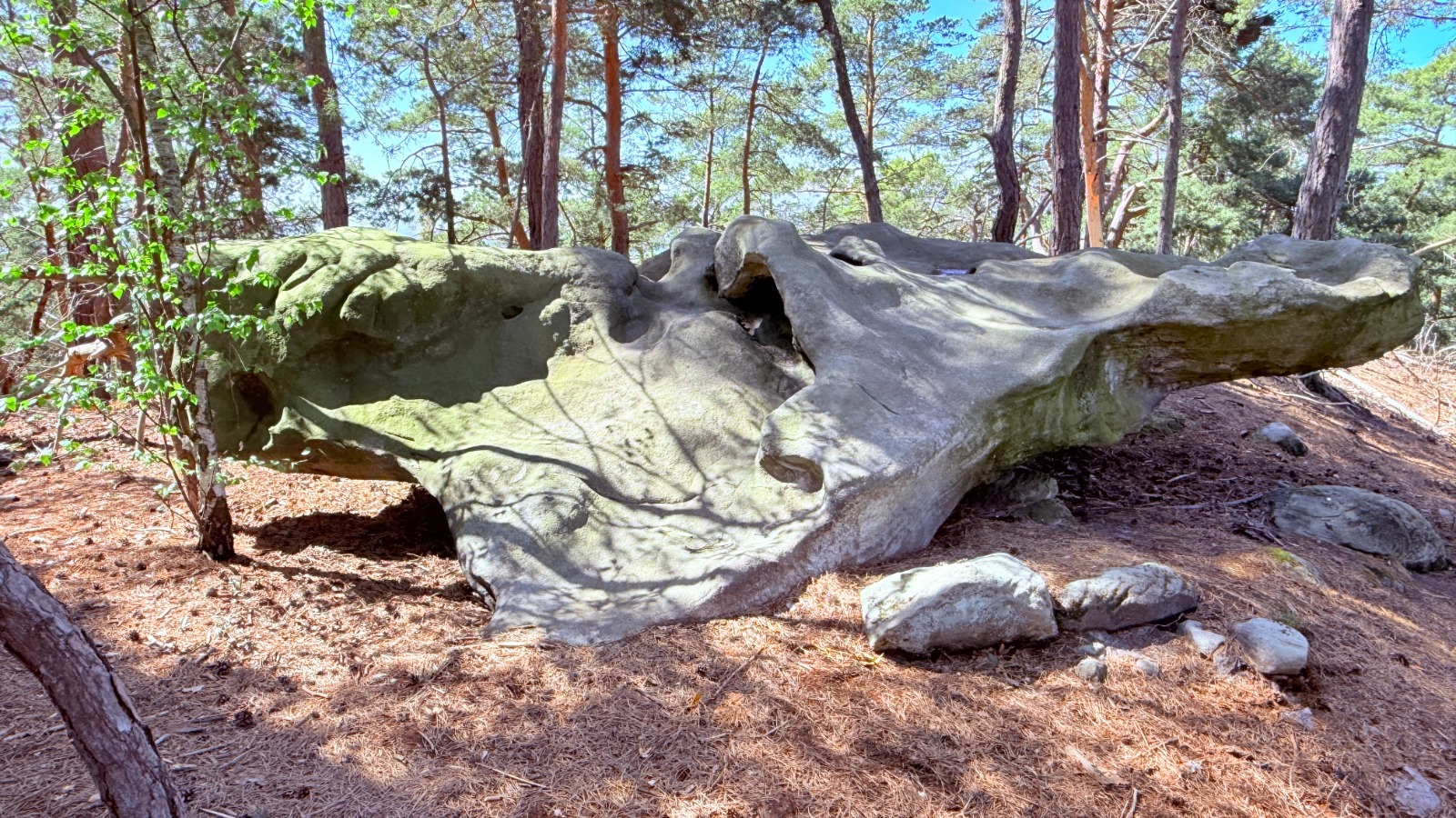 Felsen mit Ritzungen und Mulden