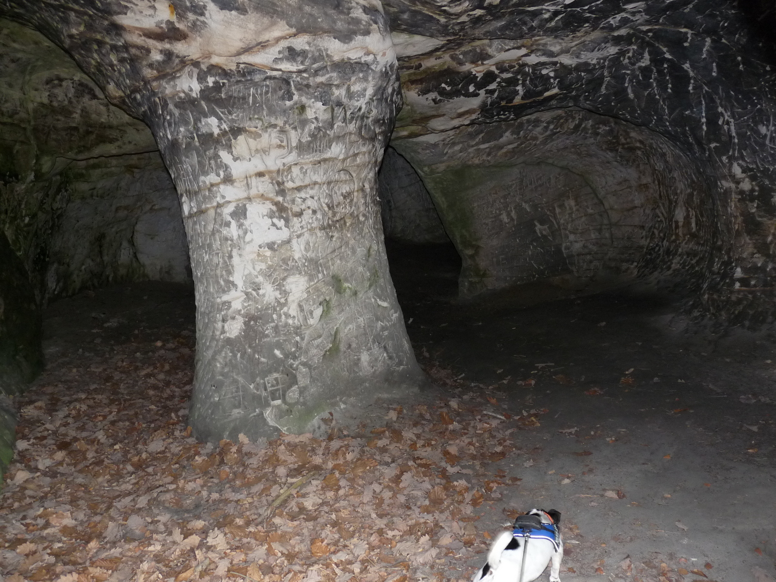 in der Wohnhöhle