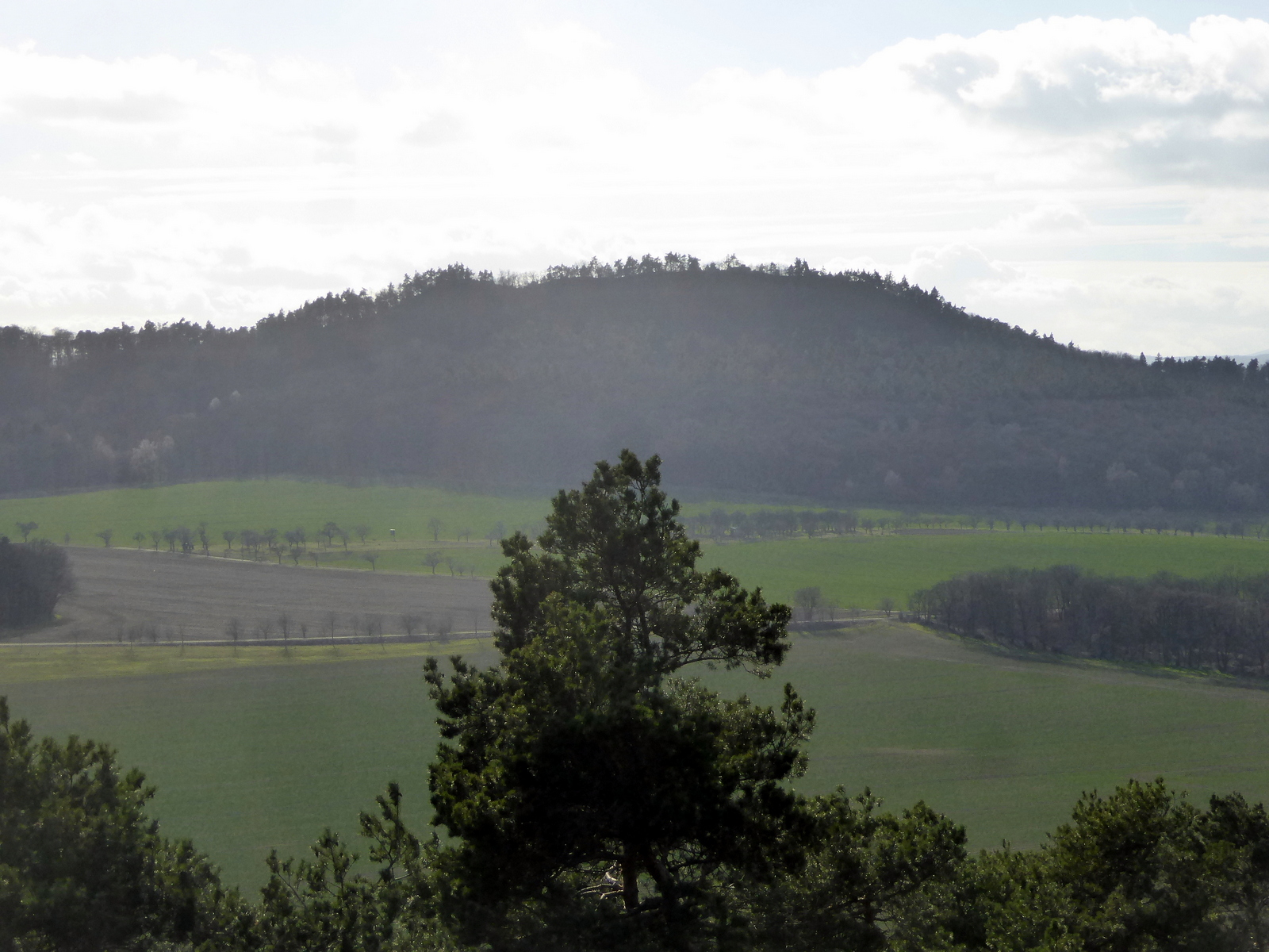 Blick zum Hoppelberg