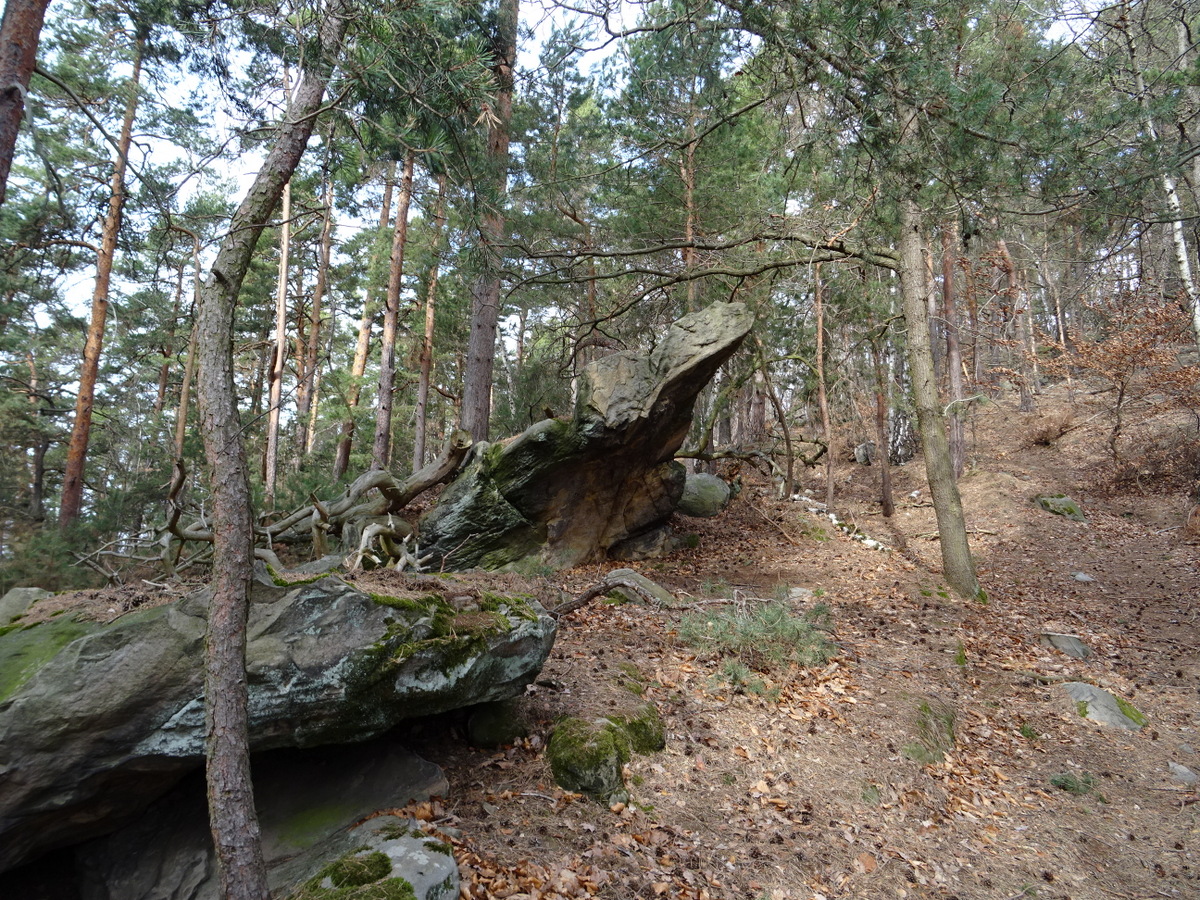 Der Froschfelsen