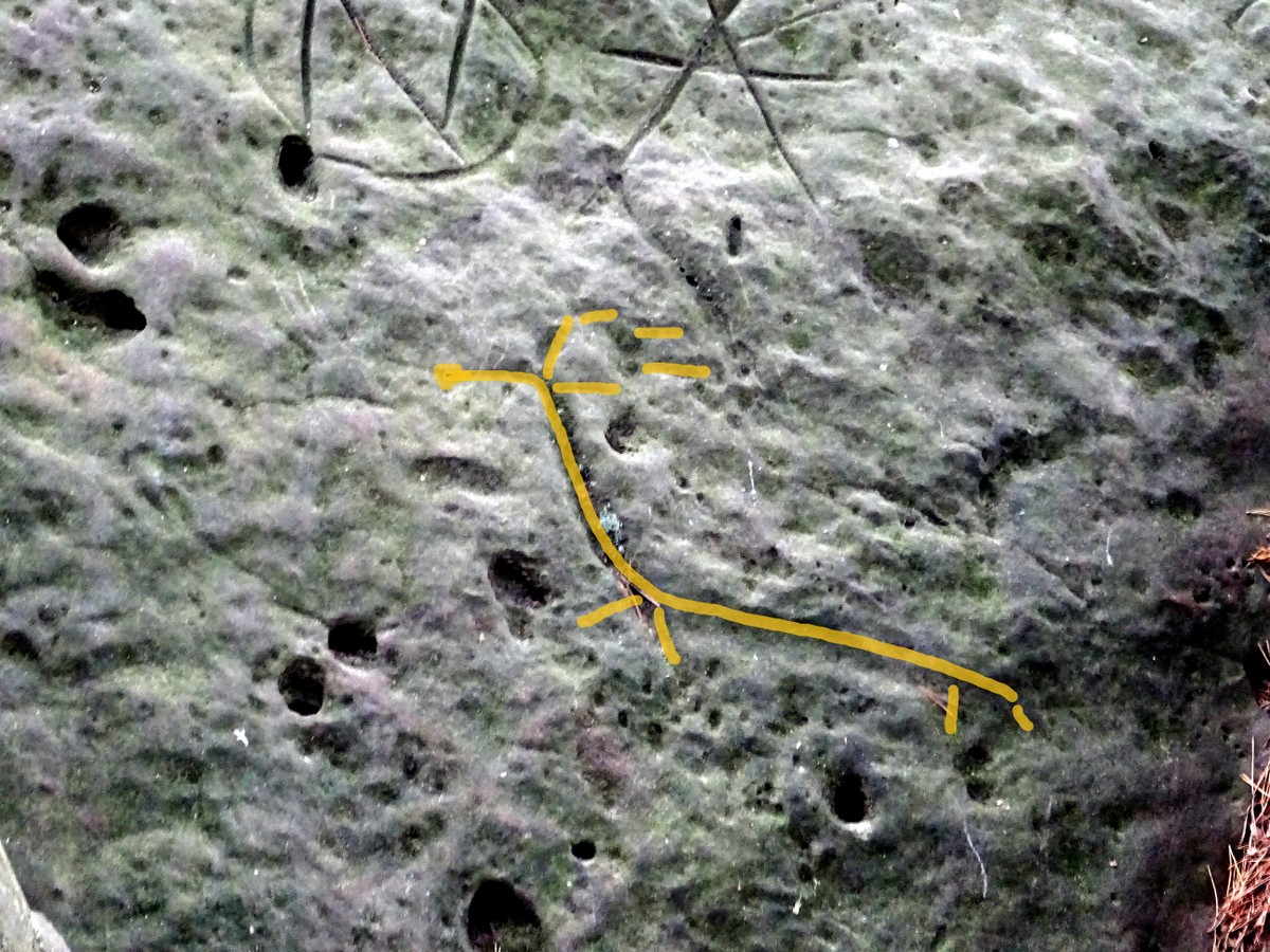 erst farbig nachgezogen erkennt man den Hirsch
