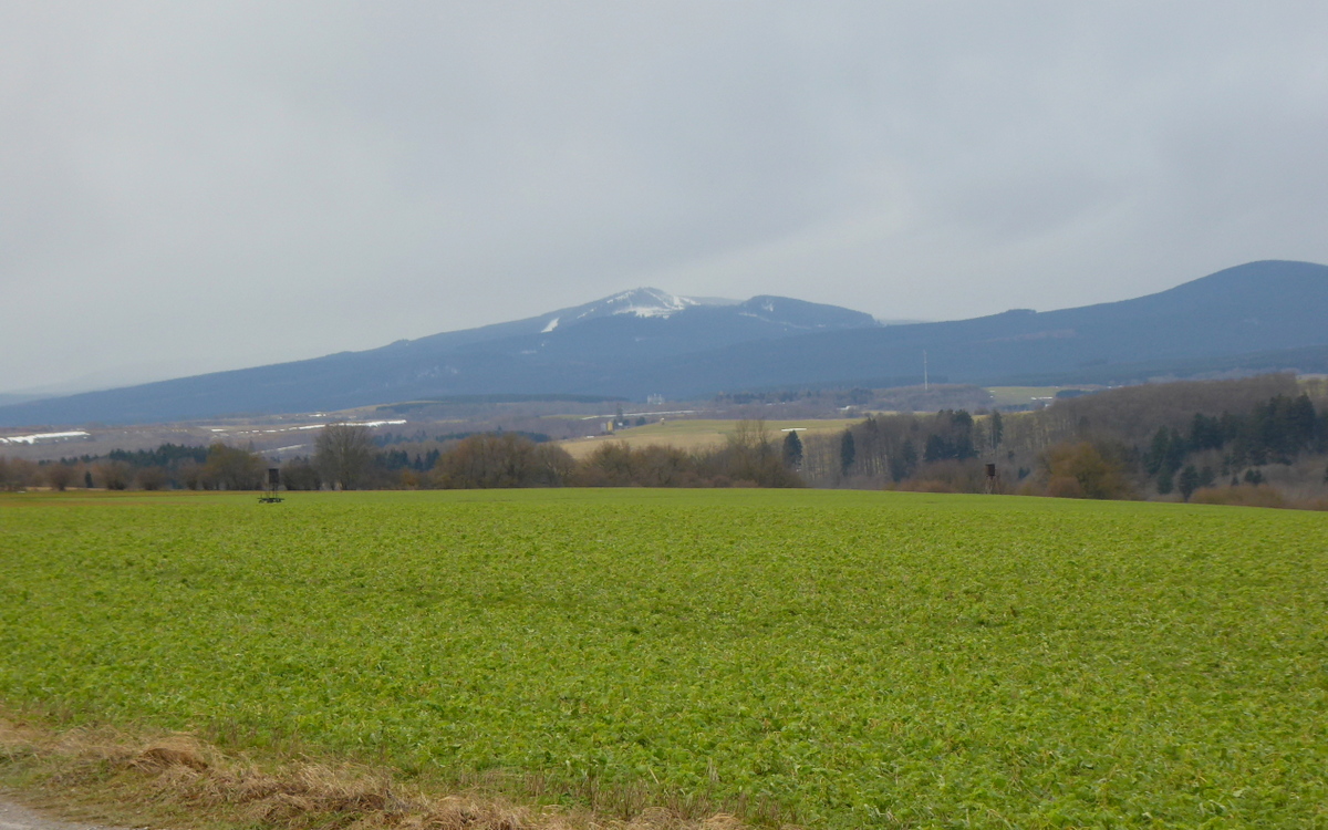 Blick zum Wurmberg