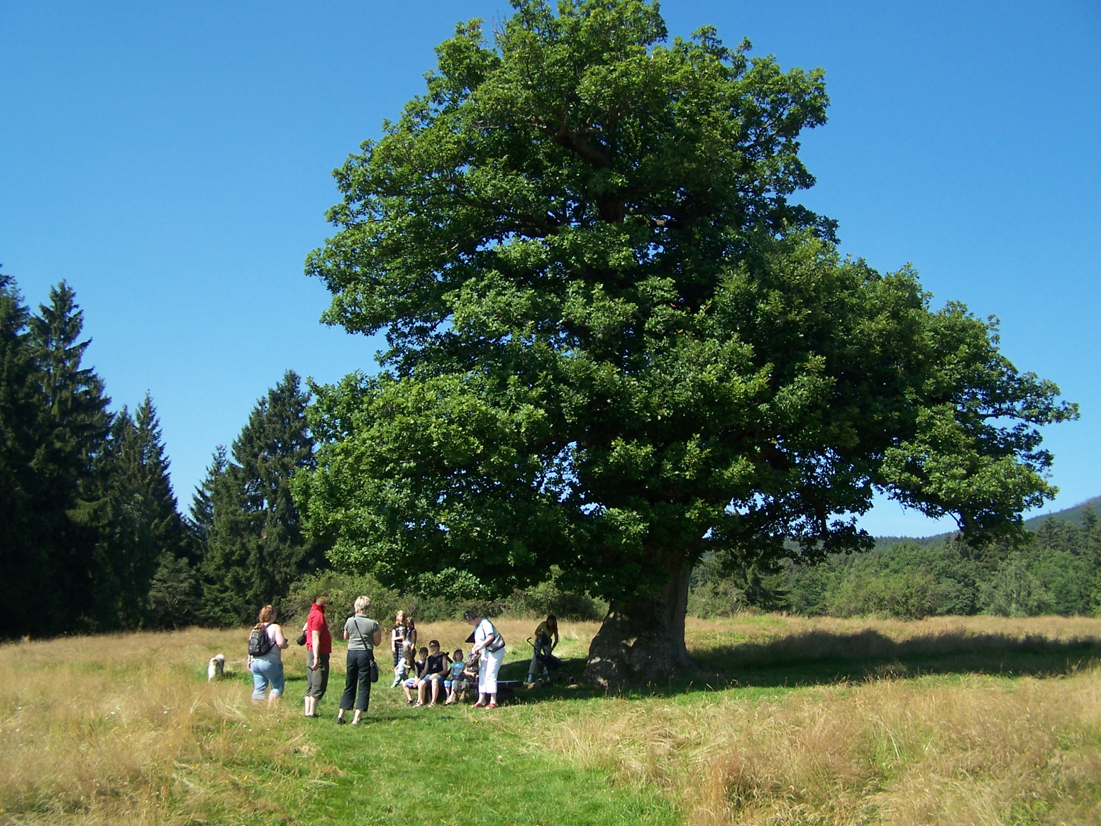 Im Jahr 2007, von der Wiese aus Richtung Osten gesehen